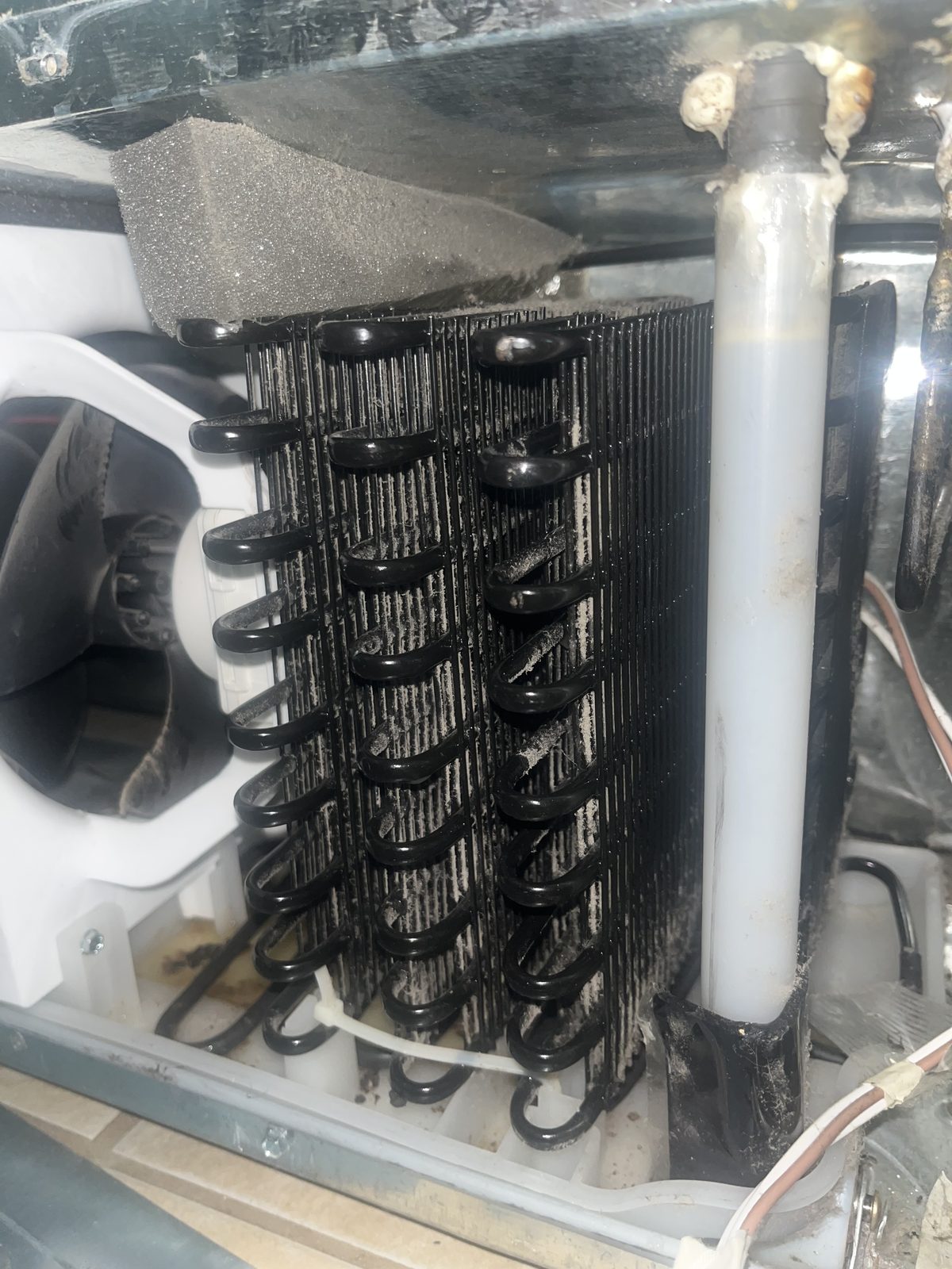 Close view of refrigerator condenser coil area documented during sample visit