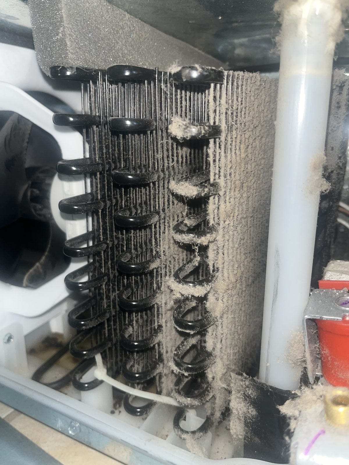 Visible refrigerator coil compartment documented during sample visit